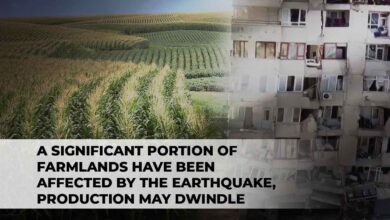 A Significant Portion of Farmlands Have Been Affected by The Earthquake, Production May Dwindle