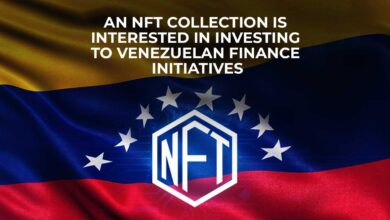 An NFT Collection is Interested in Investing to Venezuelan Finance Initiatives