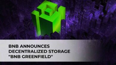 BNB Announces Decentralized Storage "BNB Greenfield"