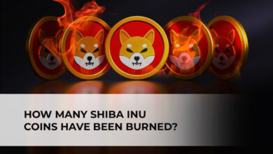 How Many Shiba Inu Coins Have Been Burned