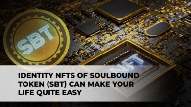 Identity NFTs of Soulbound Token (SBT) Can Make Your Life Quite Easy