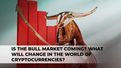 Is The Bull Market Coming? What Will Change In The World Of Cryptocurrencies?