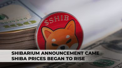 Shibarium Announcement Came Shiba Prices Began To Rise