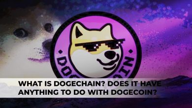 What Is Dogechain? Does It Have Anything To Do With Dogecoin?