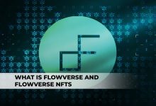 What Is Flowverse And Flowverse NFTs?