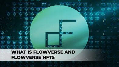 What Is Flowverse And Flowverse NFTs?