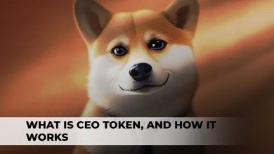 What is CEO Token, and How It Works?