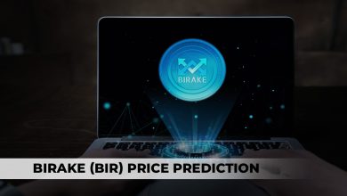 BIR Price Prediction For 2023