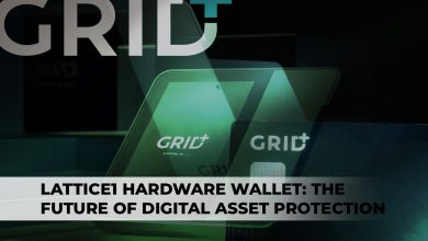 What Are Lattice Wallet Features?