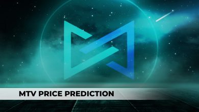 What Factors Affect Mtv Price?