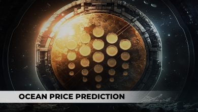 Factors Affecting Ocean Price