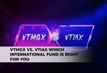 Choosing Between VTMGX and VTIAX: