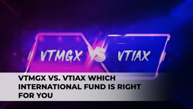 Choosing Between VTMGX and VTIAX: