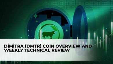 DİMİTRA (DMTR) Coin Overview and Weekly Technical Review2